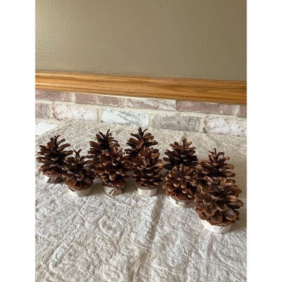 Pinecone & Birch Place Card Holders - Set Of 10 Natural Rustic Table Decor - Picture 4 of 11